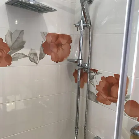 Antic In Center Gostinjska kuća